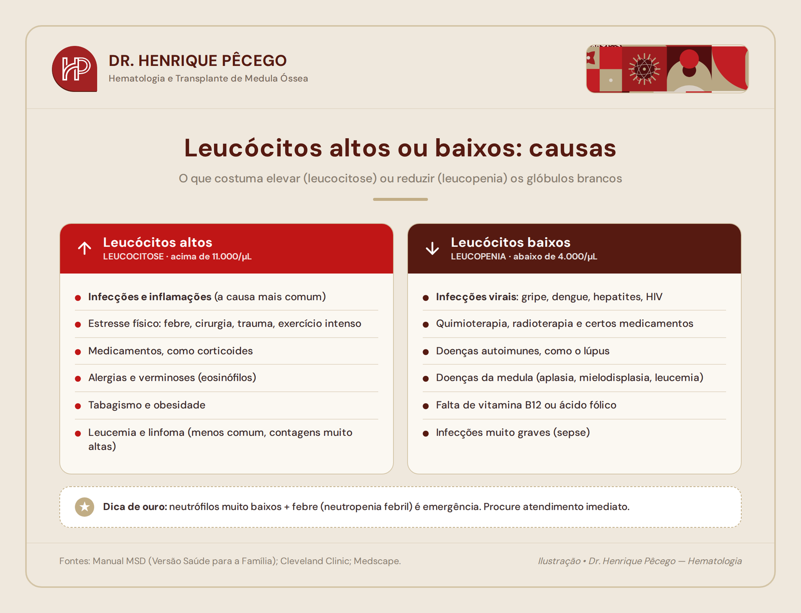 Causas de leucócitos altos (leucocitose) e de leucócitos baixos (leucopenia)