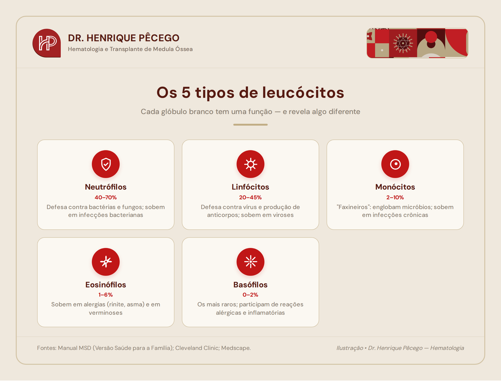 Os 5 tipos de leucócitos e o que cada glóbulo branco revela: neutrófilos, linfócitos, monócitos, eosinófilos e basófilos