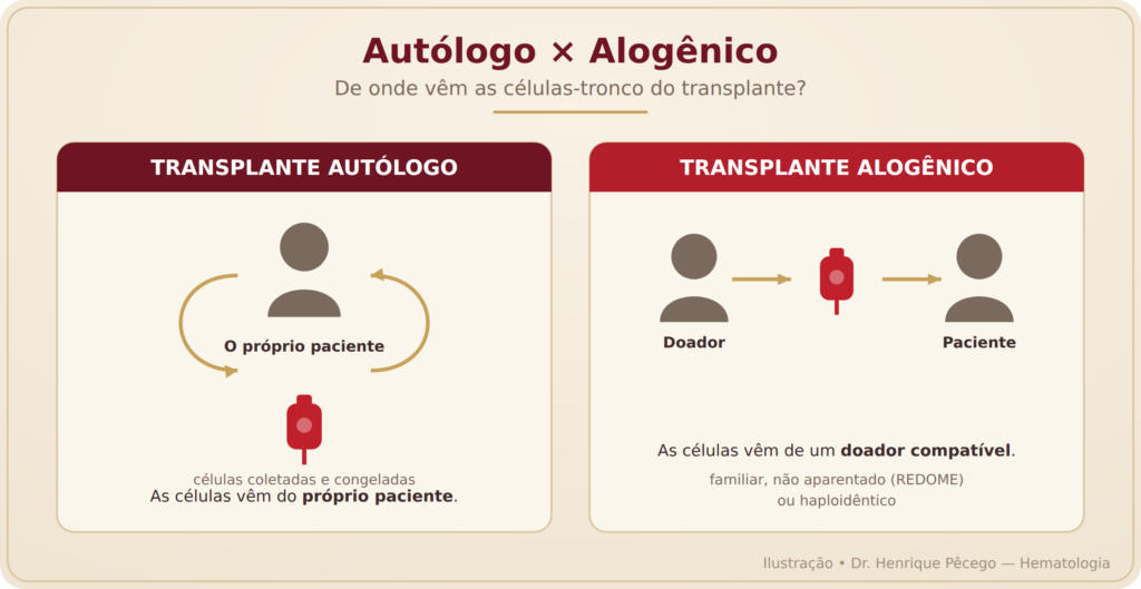 Comparação entre transplante de medula óssea autólogo, com células do próprio paciente, e alogênico, com células de um doador compatível
