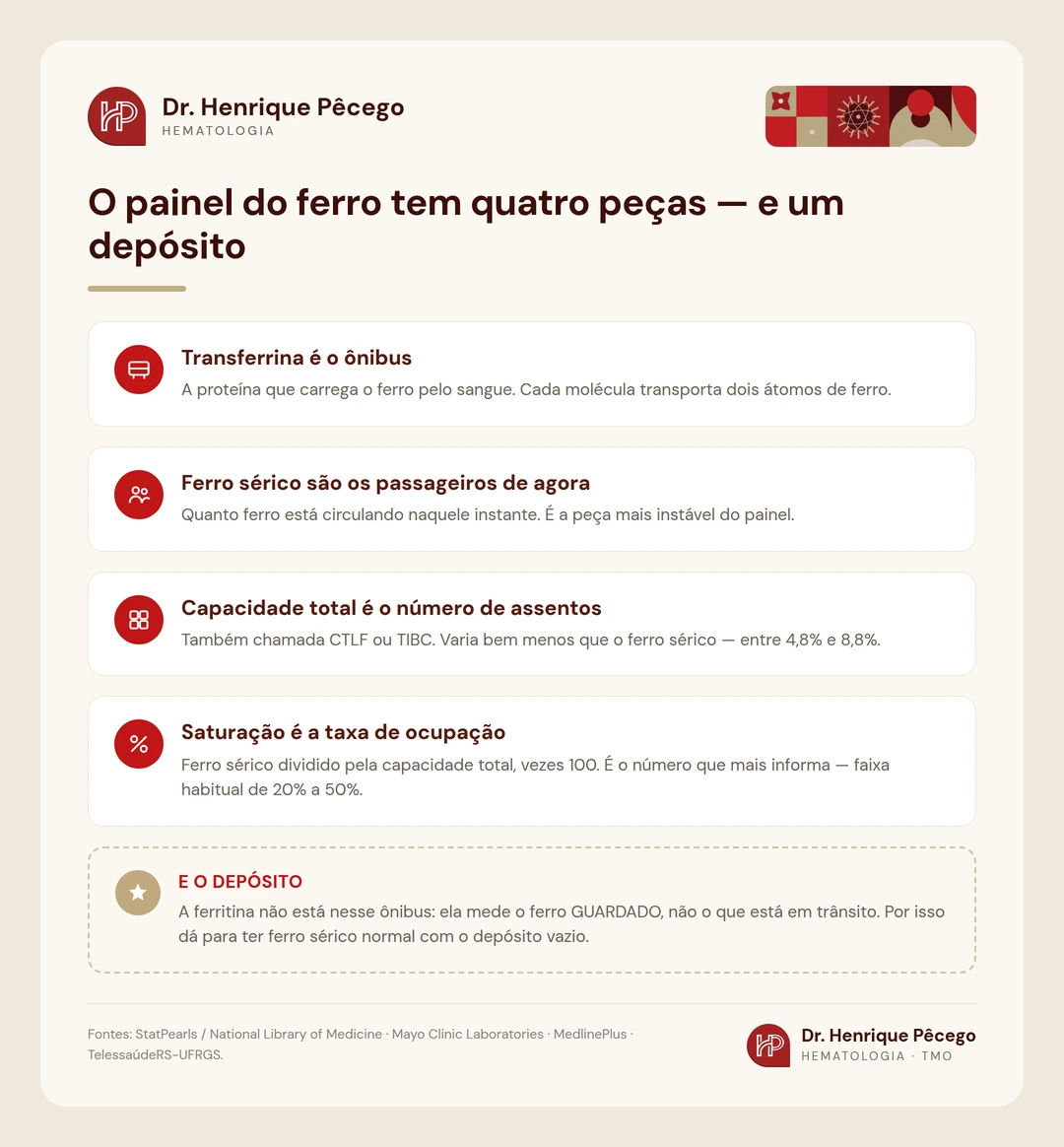 Infografico comparando transferrina, ferro serico, capacidade total de ligacao do ferro e saturacao de transferrina