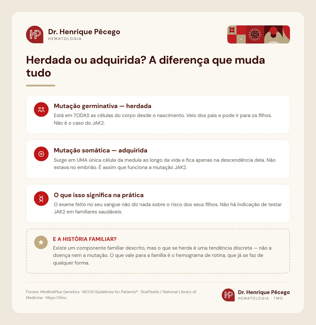 Infografico comparando mutacao germinativa herdada e mutacao somatica adquirida, como a do JAK2