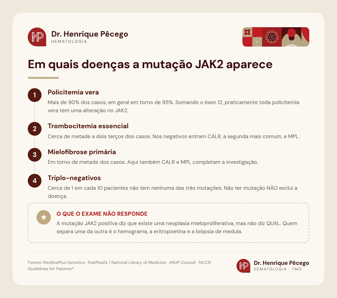 Infografico com a frequencia da mutacao JAK2 na policitemia vera, trombocitemia essencial e mielofibrose