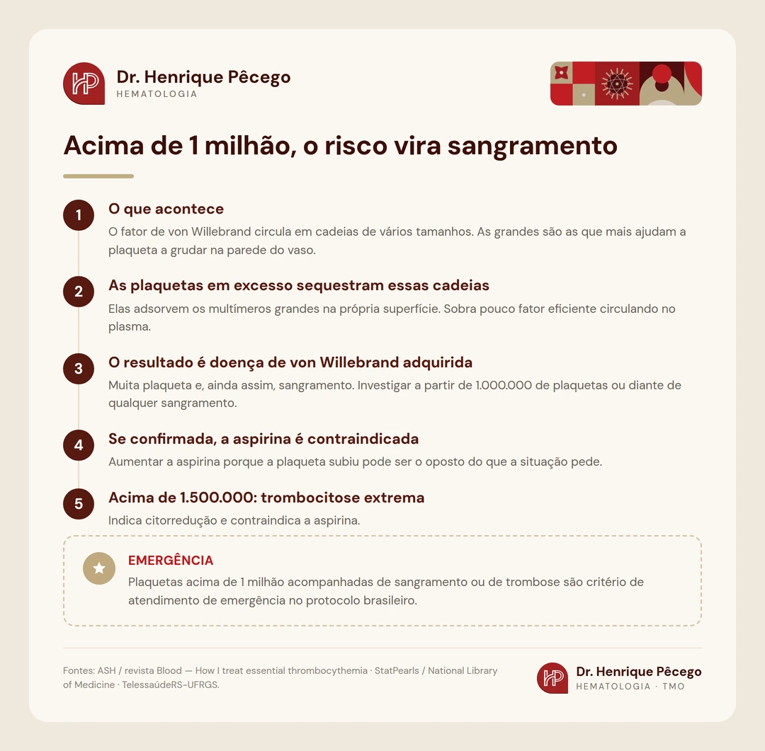 Infográfico: por que plaquetas acima de 1 milhão causam sangramento na trombocitemia essencial, pela doença de von Willebrand adquirida