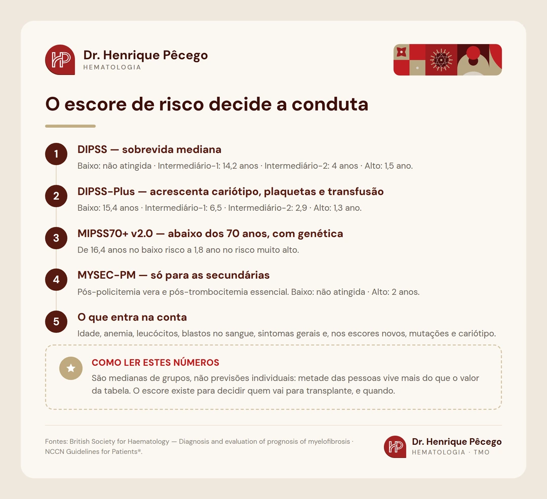 Infográfico: os escores de risco da mielofibrose (DIPSS, DIPSS-Plus, MIPSS70+ v2.0 e MYSEC-PM) e as sobrevidas medianas