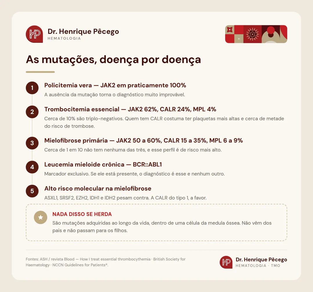 Infográfico: frequência das mutações JAK2, CALR, MPL e BCR::ABL1 em cada neoplasia mieloproliferativa