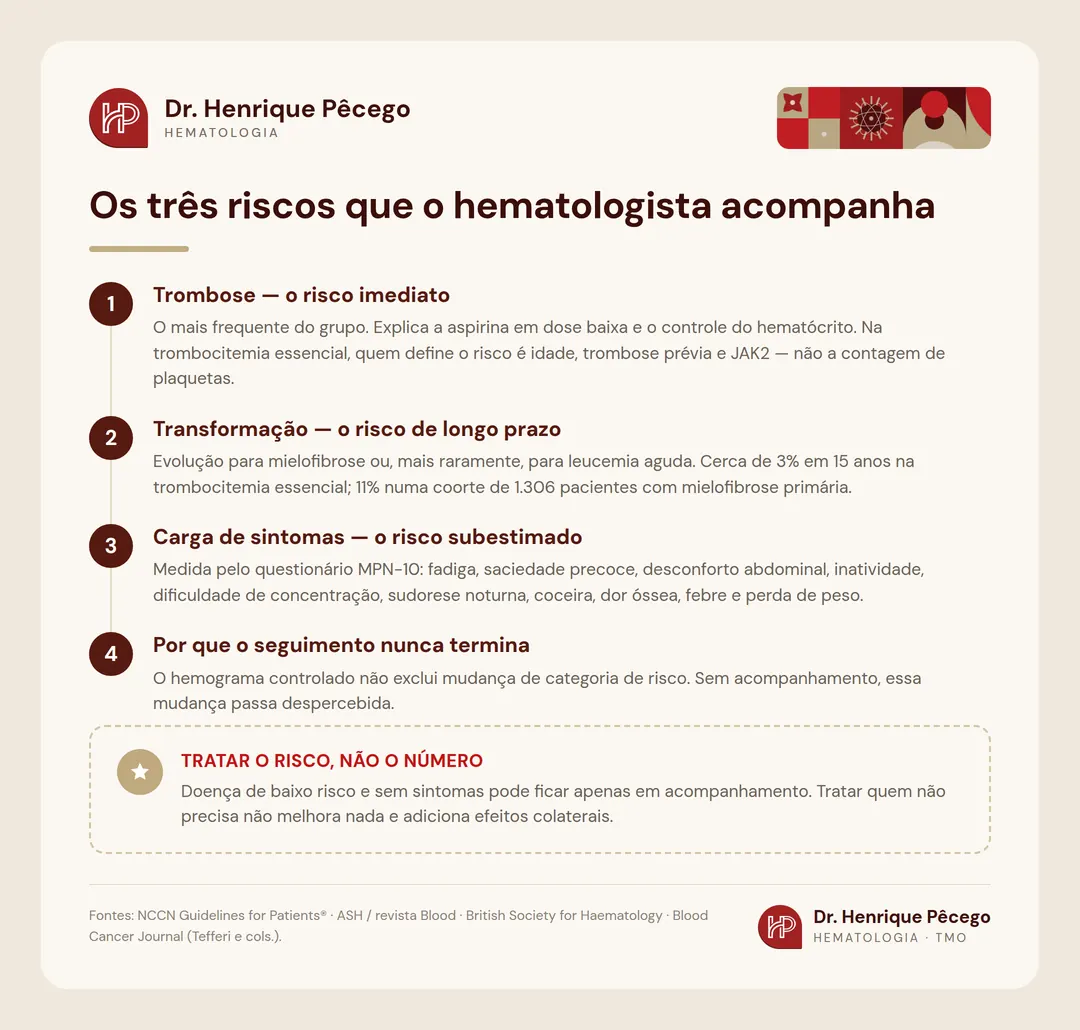 Infográfico: trombose, transformação e carga de sintomas — os três riscos acompanhados nas neoplasias mieloproliferativas