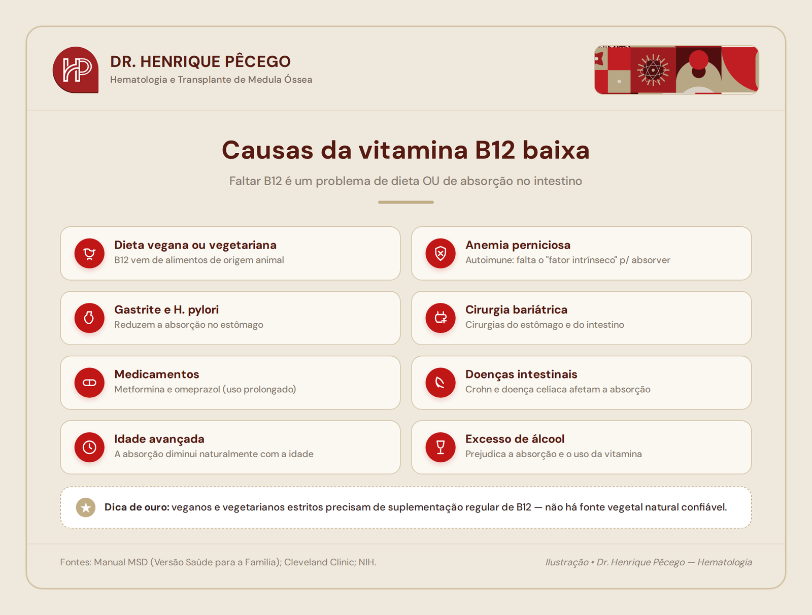 Causas da vitamina B12 baixa: dieta vegana, anemia perniciosa, medicamentos e má absorção