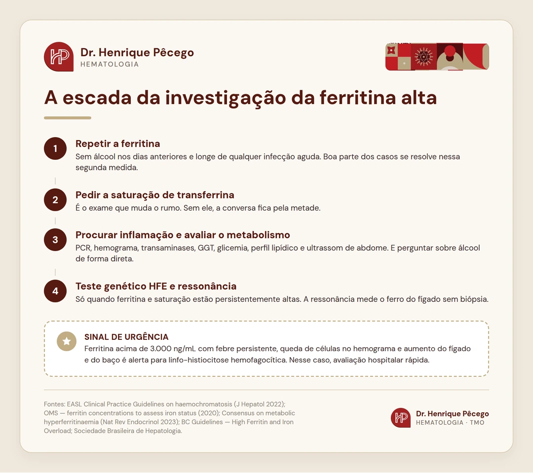 Infográfico com os quatro passos da investigação da ferritina alta: repetir o exame, pedir saturação de transferrina, procurar inflamação e avaliar o metabolismo, e por fim teste genético HFE e ressonância
