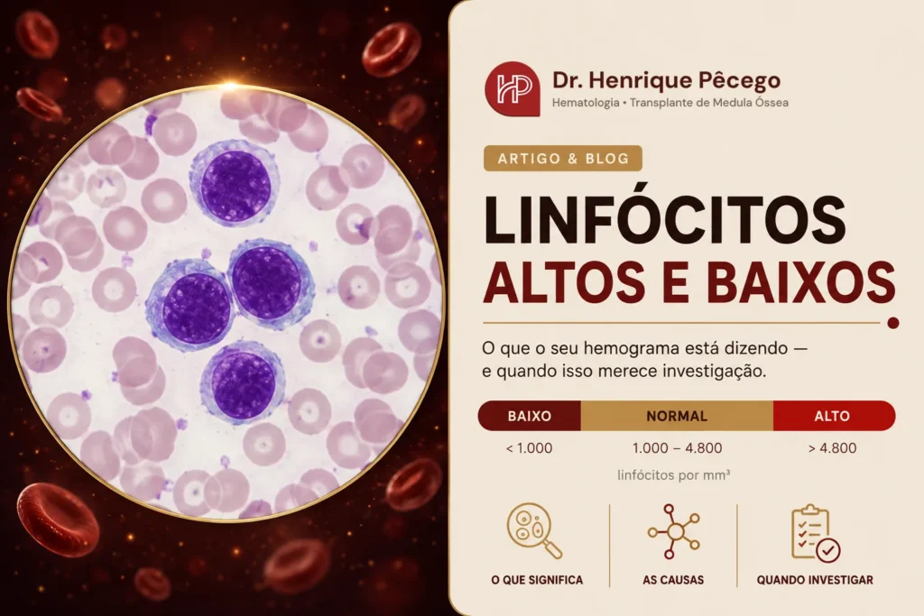 Linfócitos altos e baixos: o que significa