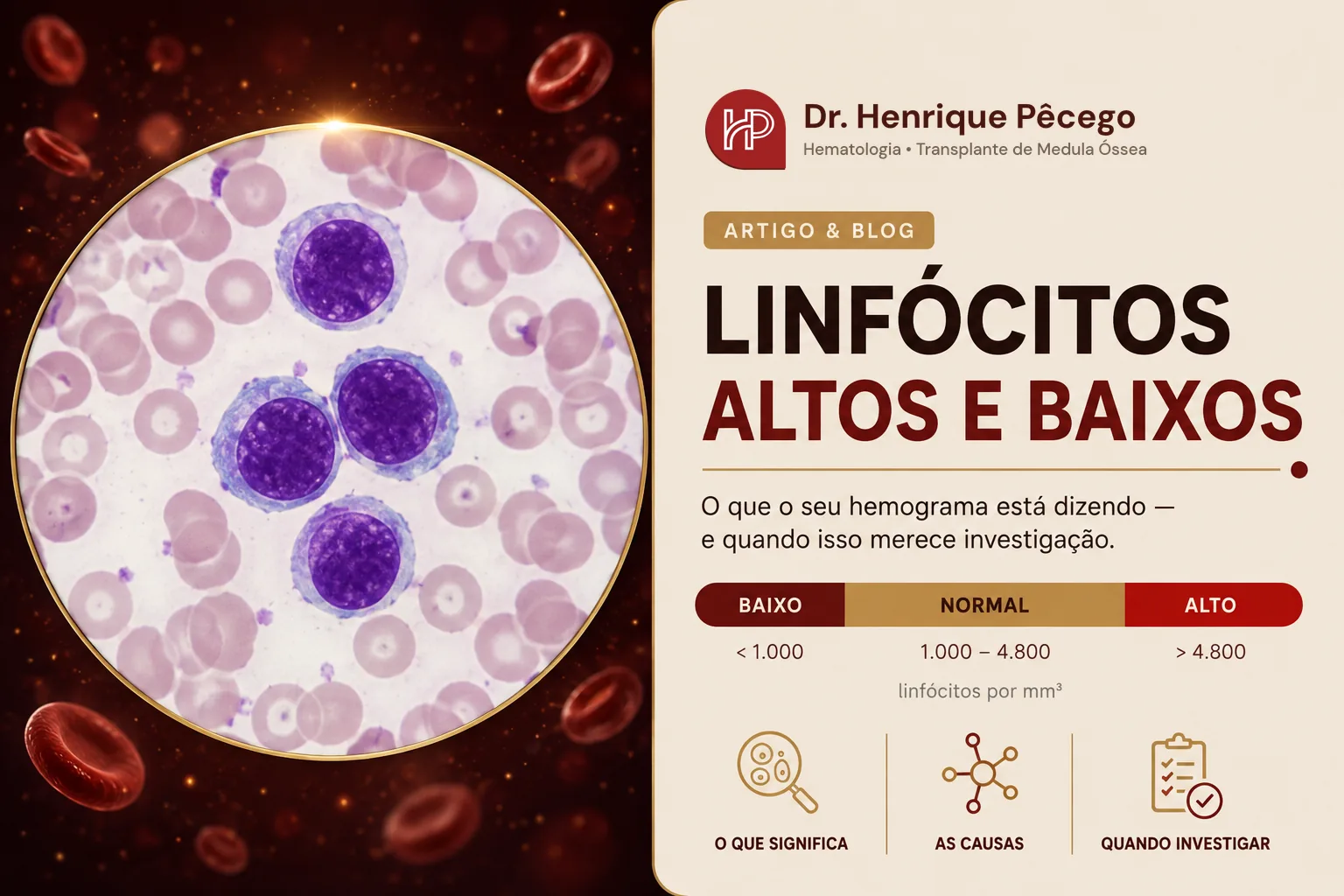 Linfócitos altos e baixos: o que significa