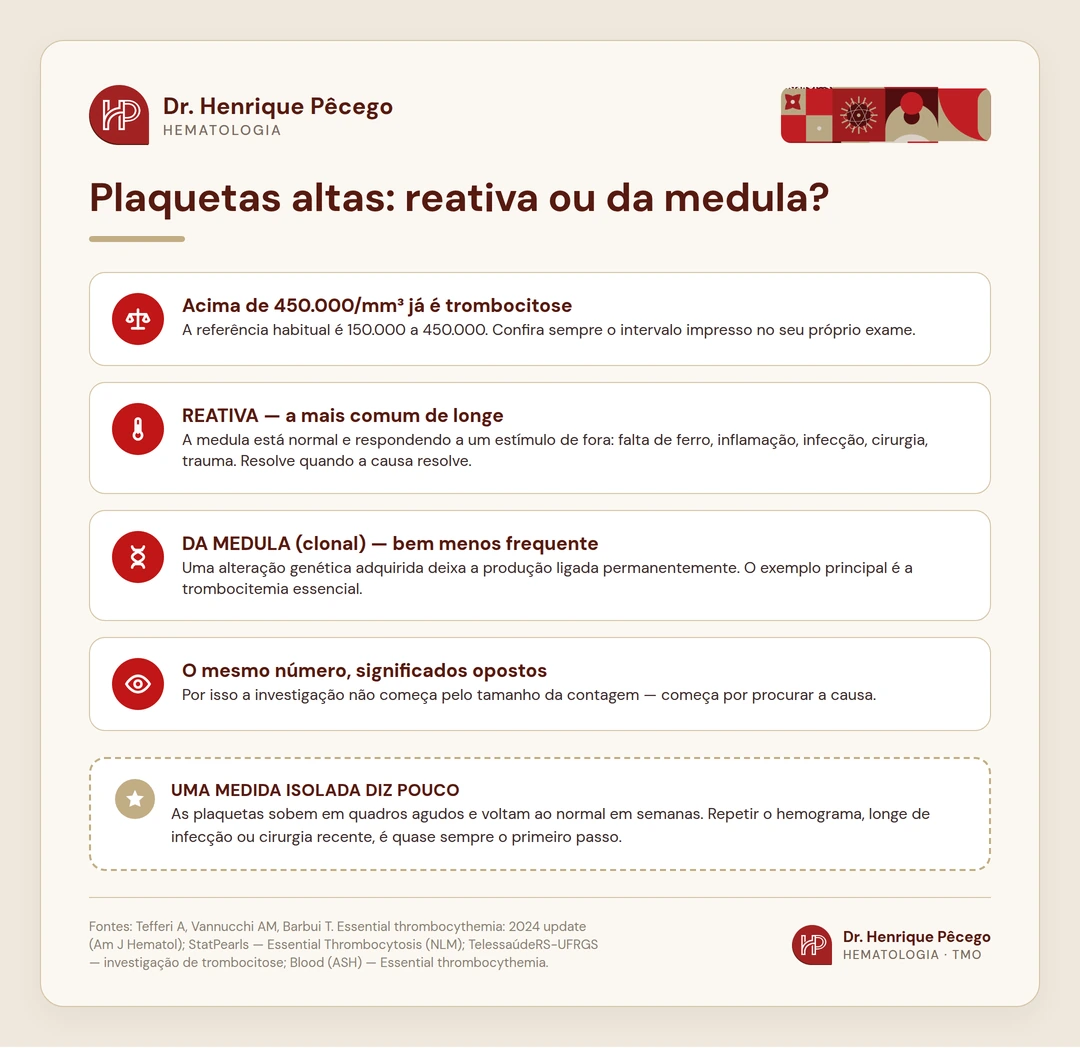 Infográfico explicando que plaquetas acima de 450 mil por milímetro cúbico já é trombocitose, e a diferença entre a forma reativa, mais comum, e a clonal, da medula óssea