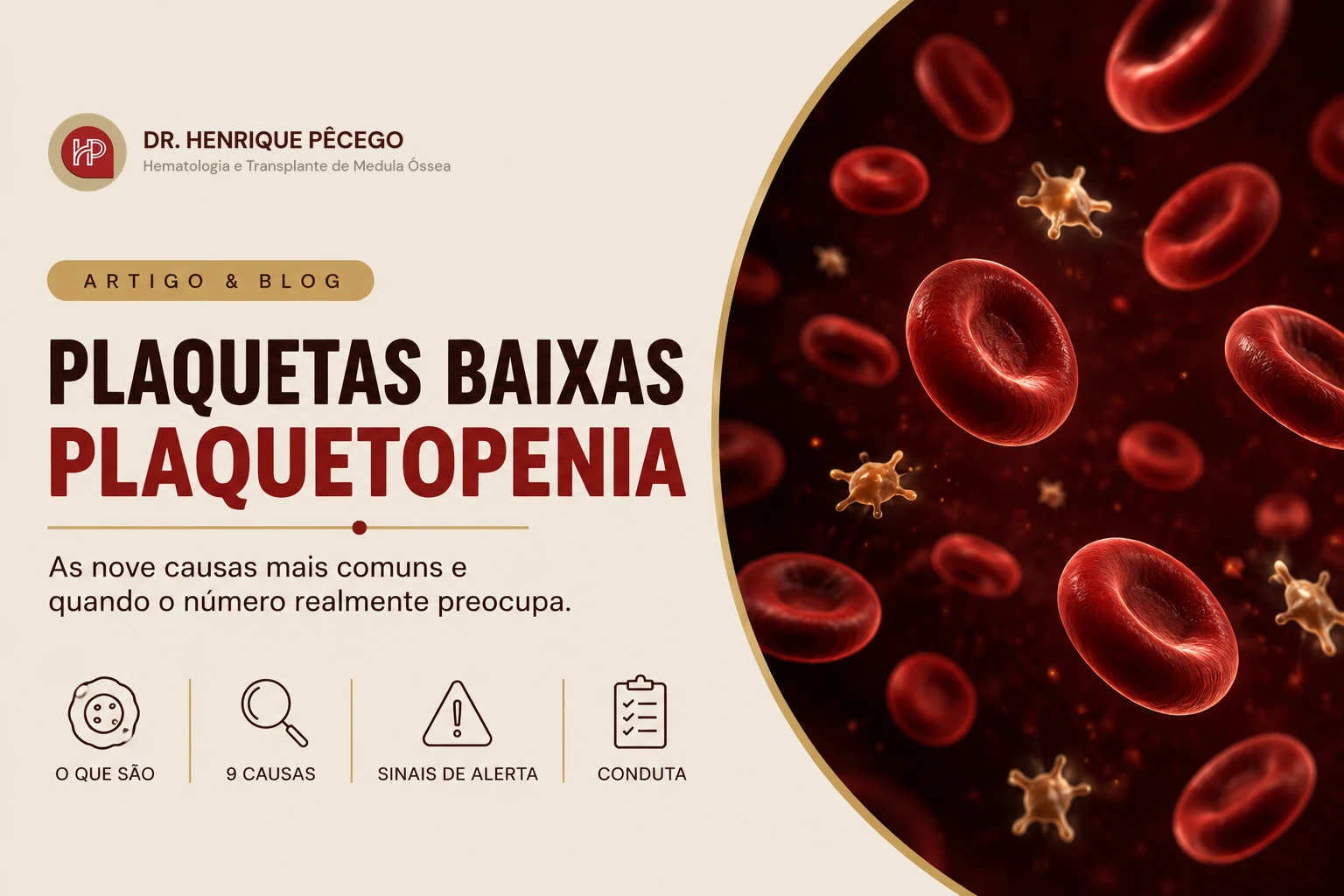 Plaquetas baixas (plaquetopenia): 9 causas, sintomas e quando se preocupar