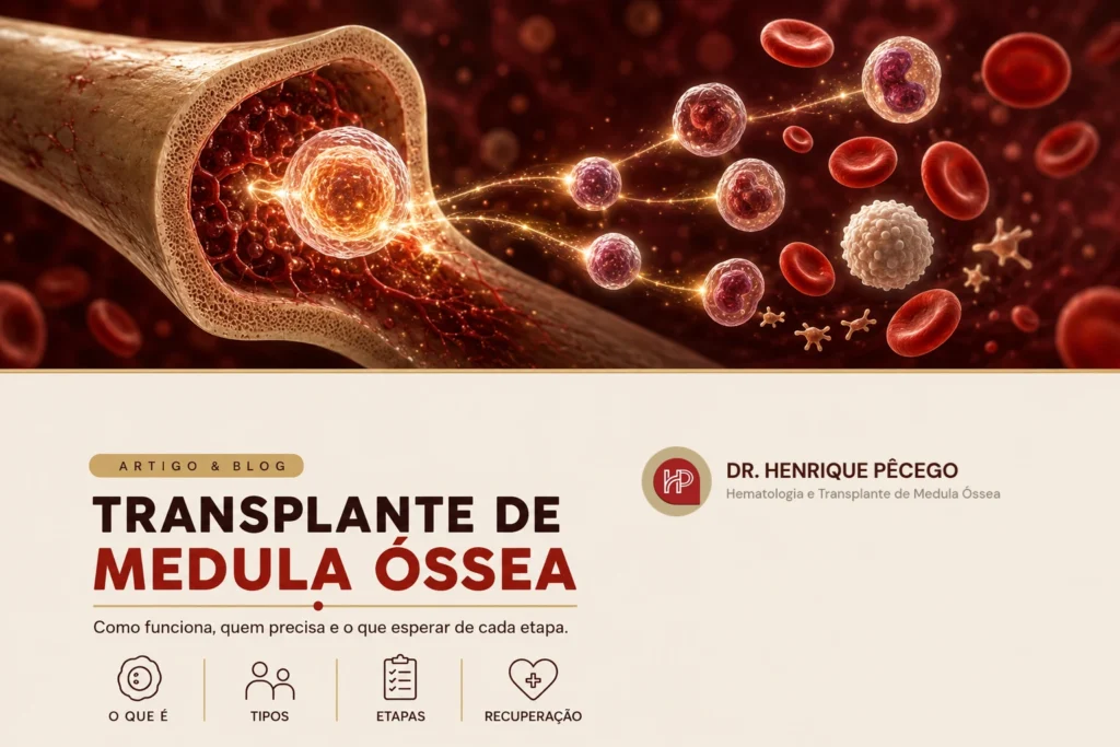 Transplante de medula óssea: o que é, como funciona em 5 etapas e como doar