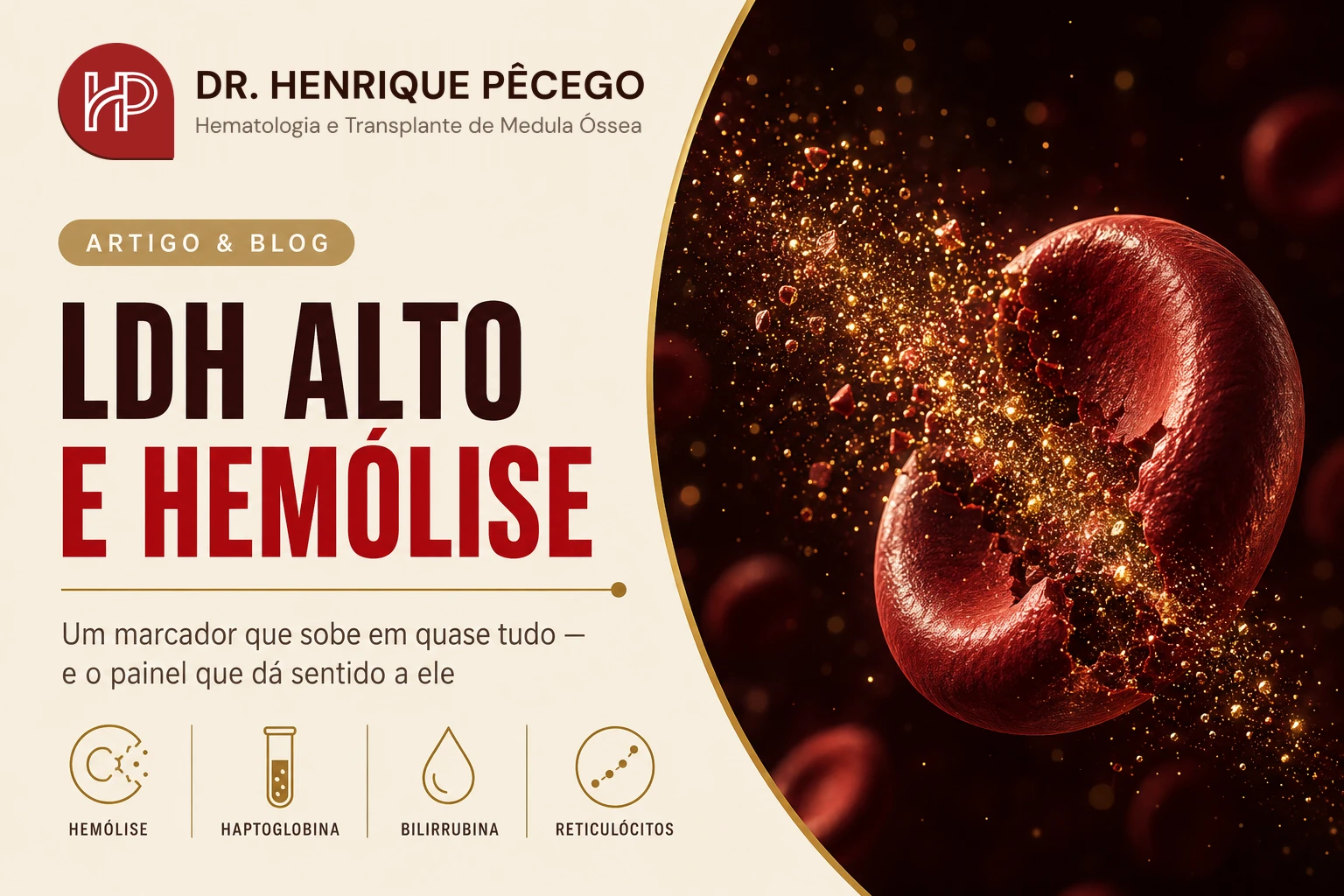 LDH alto: o que significa e quais exames pedir junto