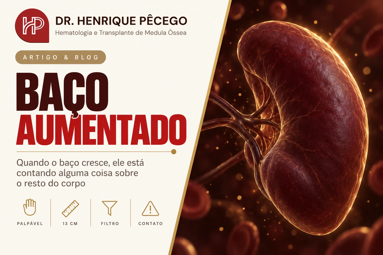 Baço aumentado: causas, sintomas e quando investigar