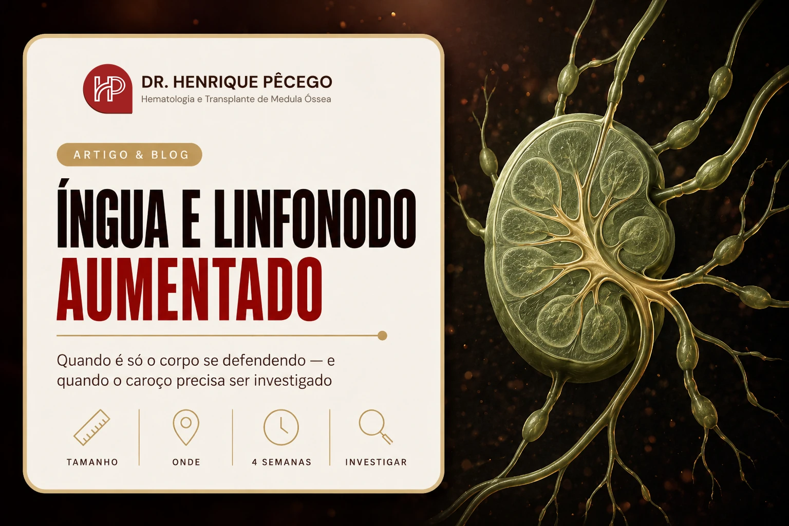 Íngua e linfonodo aumentado: quando investigar