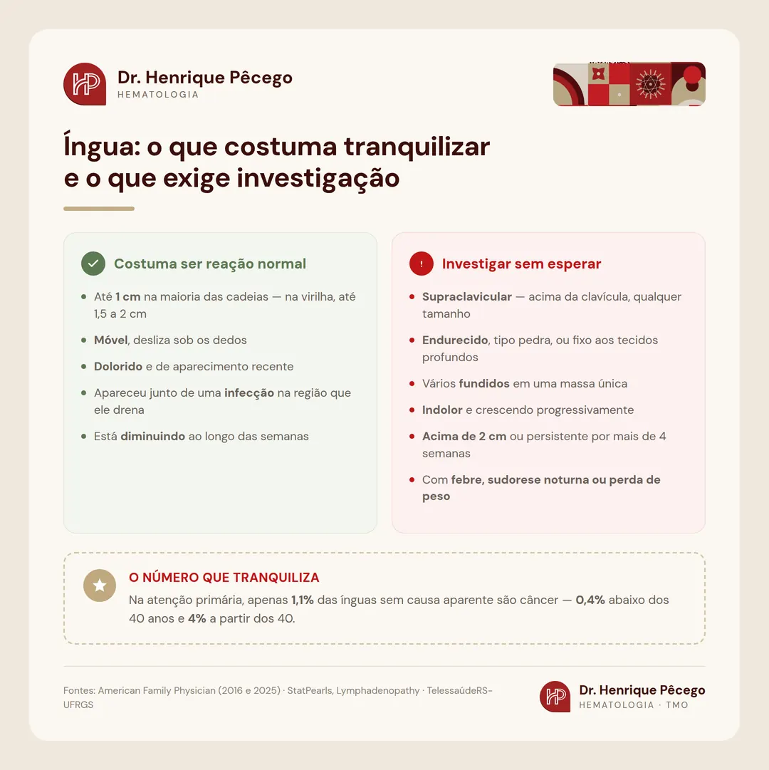 Infográfico: quando um linfonodo aumentado é preocupante — tamanho por região, consistência, mobilidade e sinais de alarme