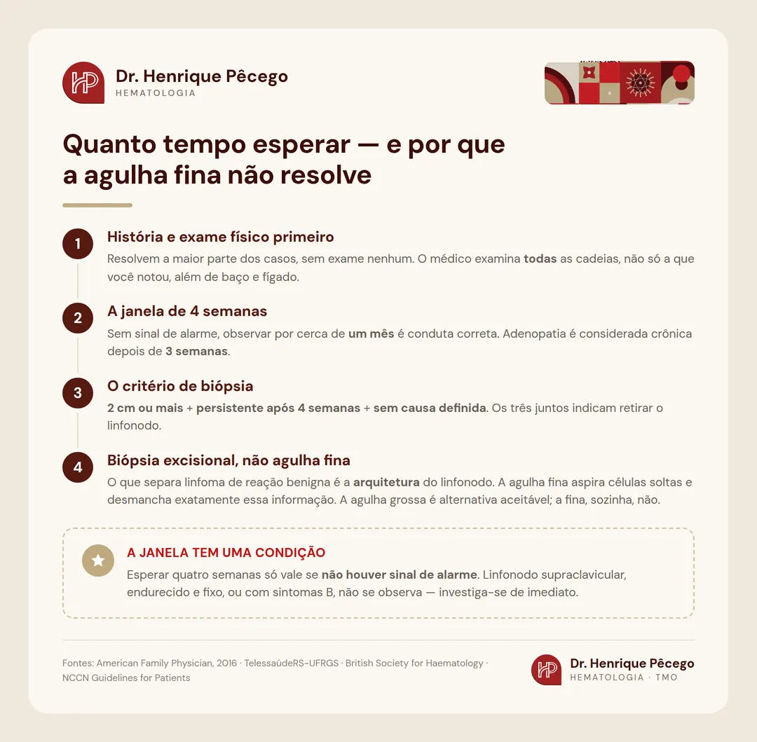 Infográfico: em quanto tempo investigar um linfonodo aumentado — a janela de 4 semanas, os critérios de biópsia e por que a PAAF não diagnostica linfoma