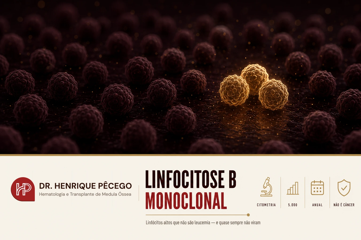 Linfocitose B monoclonal: o que é e o que fazer