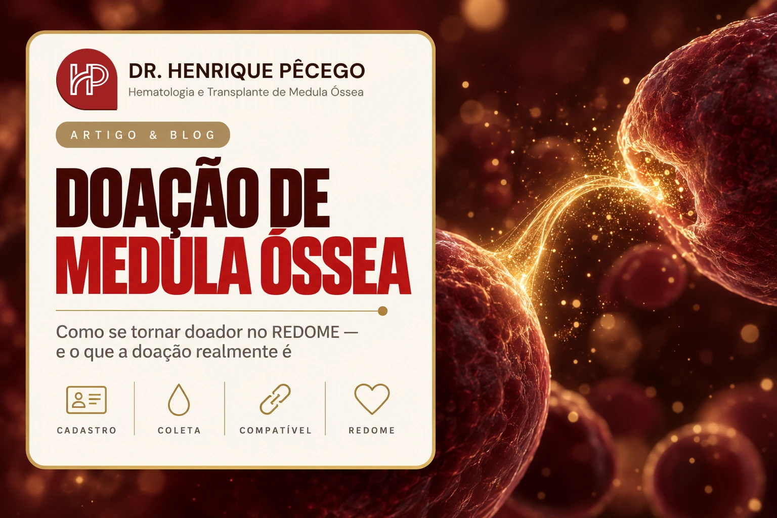 Doação de medula óssea: como se cadastrar no REDOME