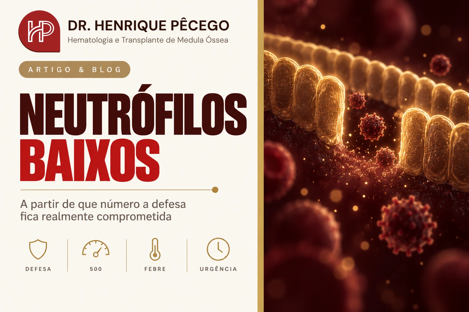 Neutrófilos baixos: o que significa e quando é grave