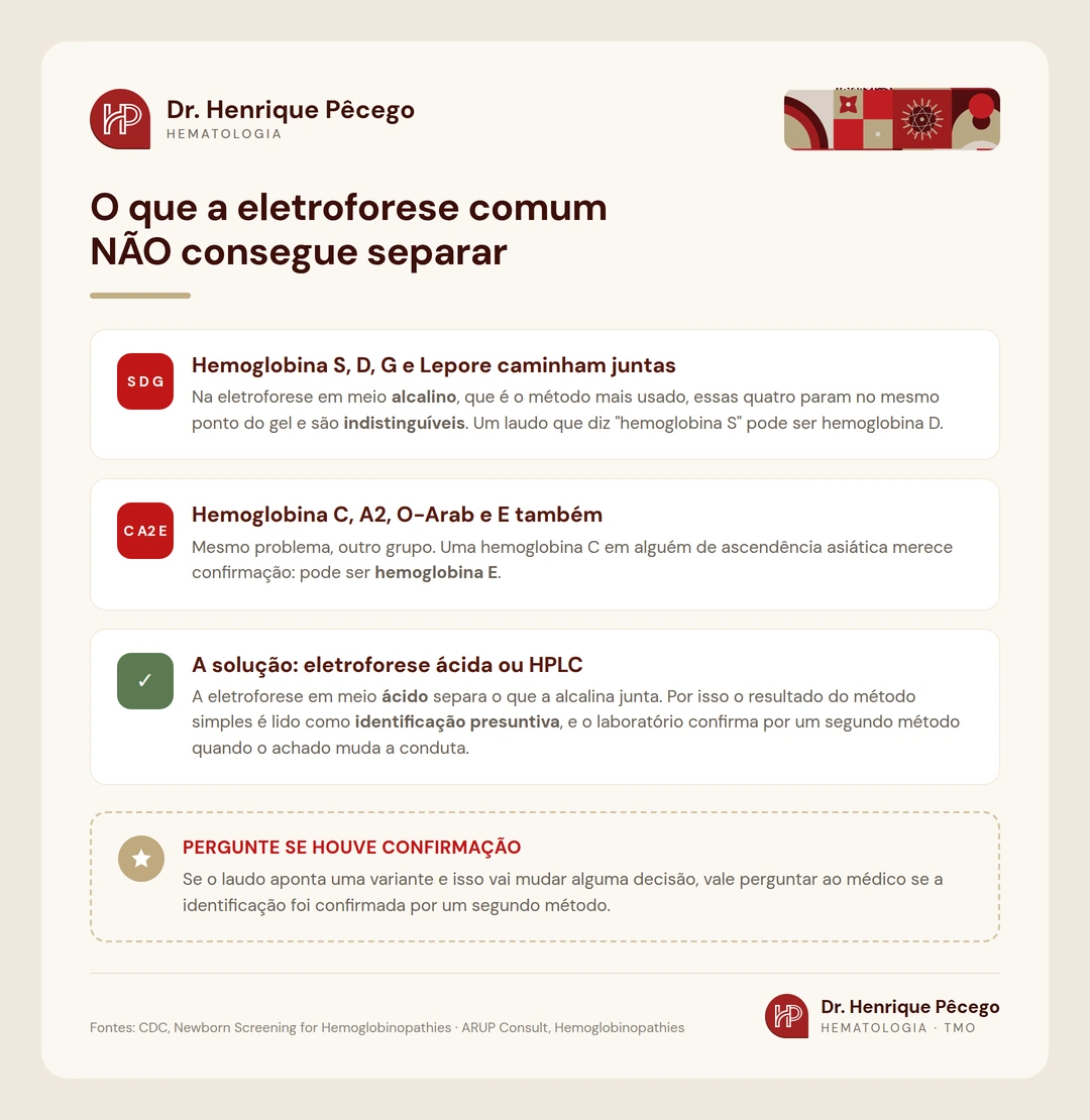 Infográfico sobre as hemoglobinas que migram juntas na eletroforese alcalina: S, D, G e Lepore de um lado, C, A2, O-Arab e E do outro