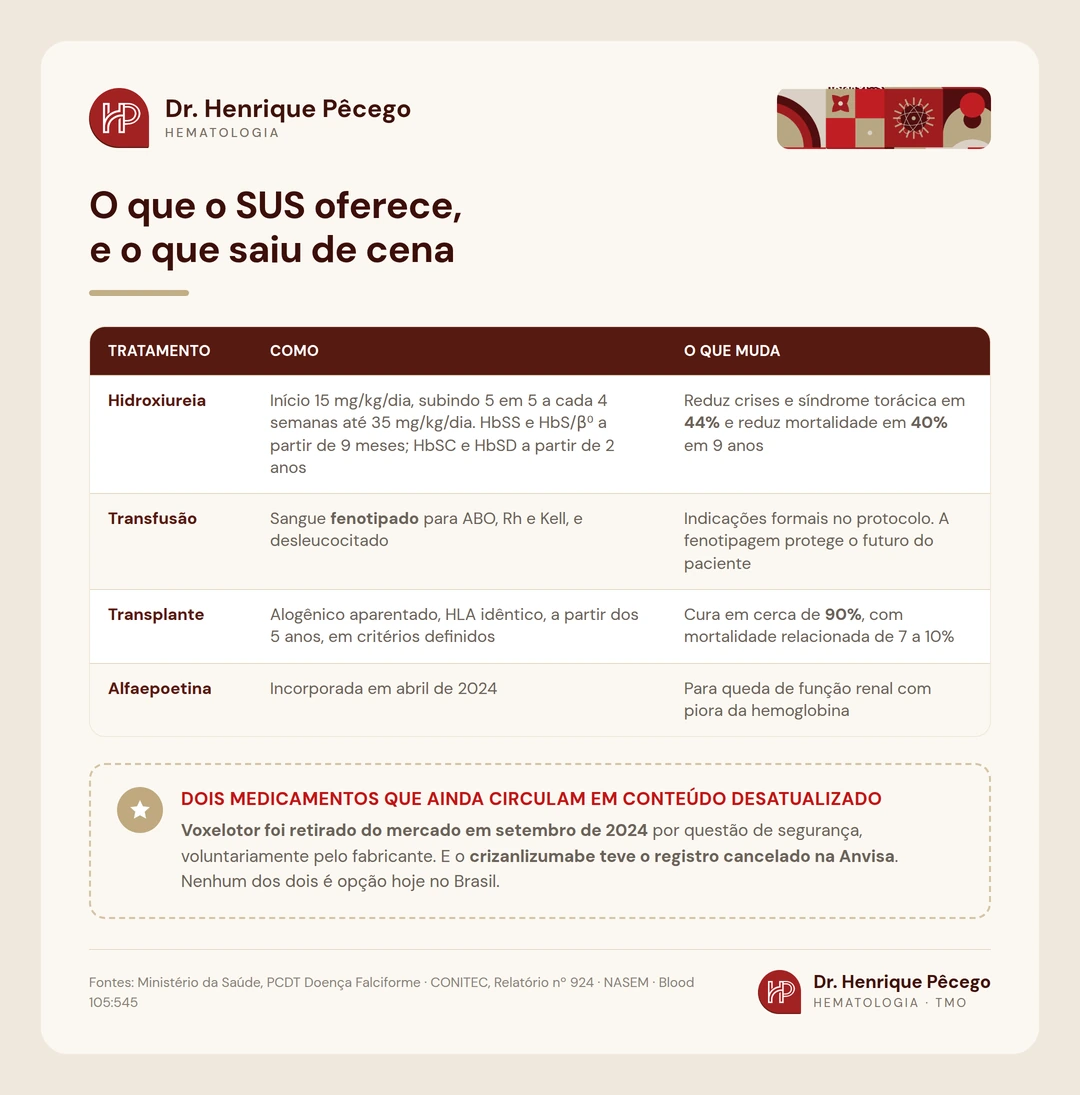 Tabela com o tratamento da doença falciforme no SUS: hidroxiureia, transfusão, transplante e alfaepoetina, com doses e o que cada um muda