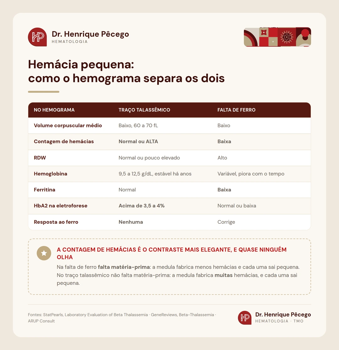 Tabela comparando traço talassêmico e falta de ferro quanto a volume corpuscular médio, contagem de hemácias, RDW, ferritina, HbA2 e resposta ao ferro