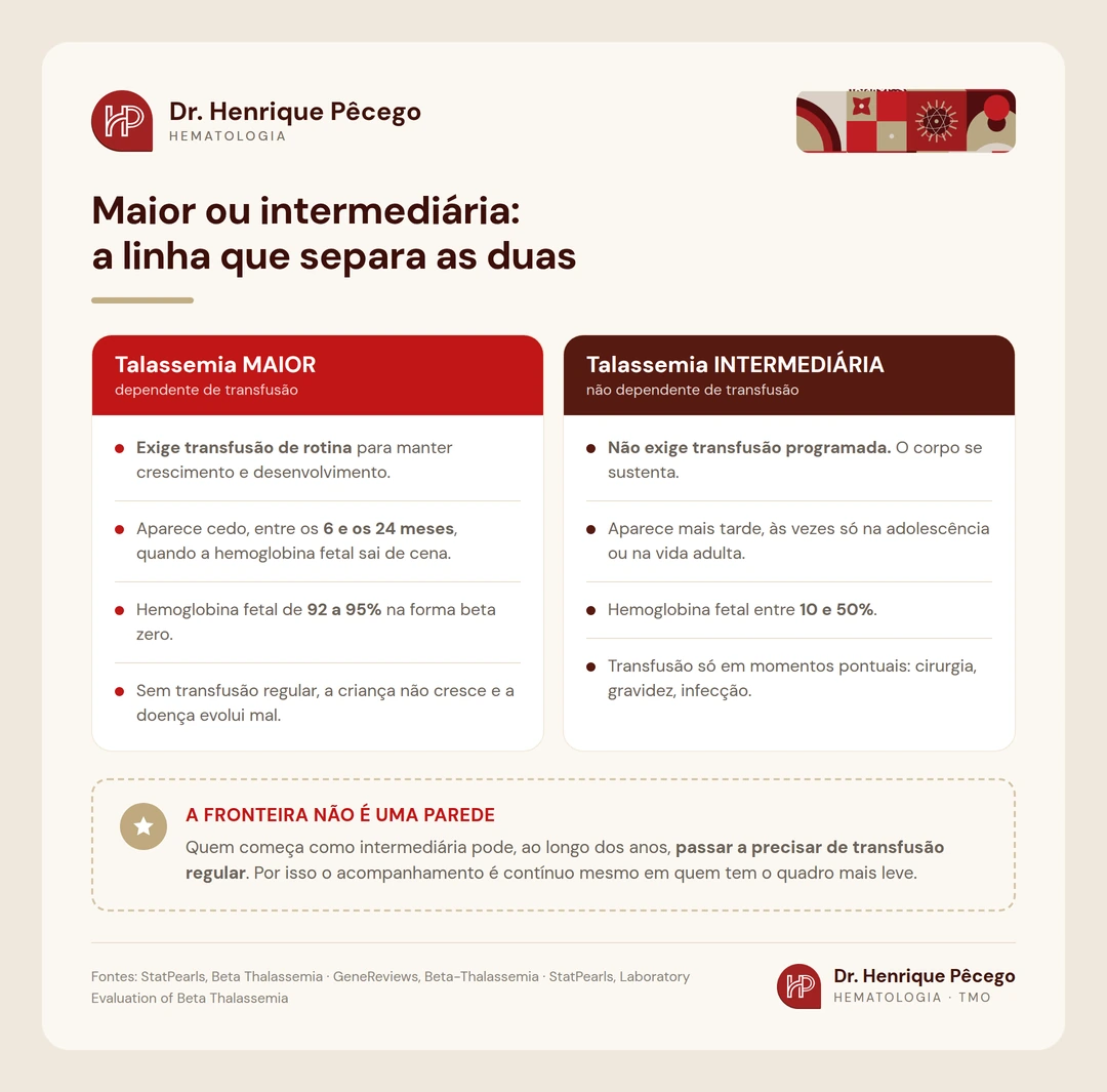 Comparação entre talassemia beta maior, dependente de transfusão, e talassemia intermediária, que não depende de transfusão programada