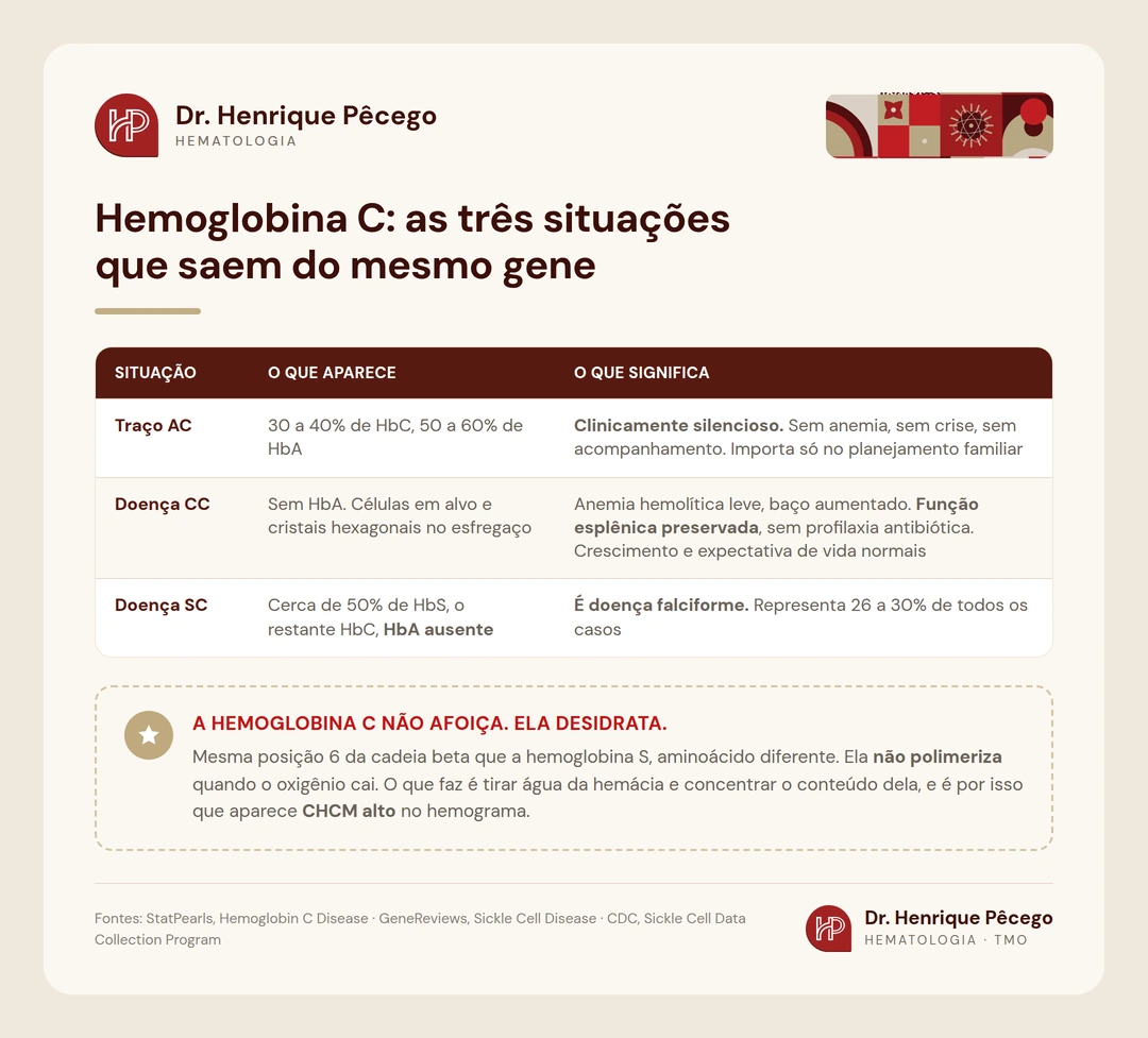 Tabela com as três situações da hemoglobina C: traço AC silencioso, doença CC leve e doença SC, que é doença falciforme