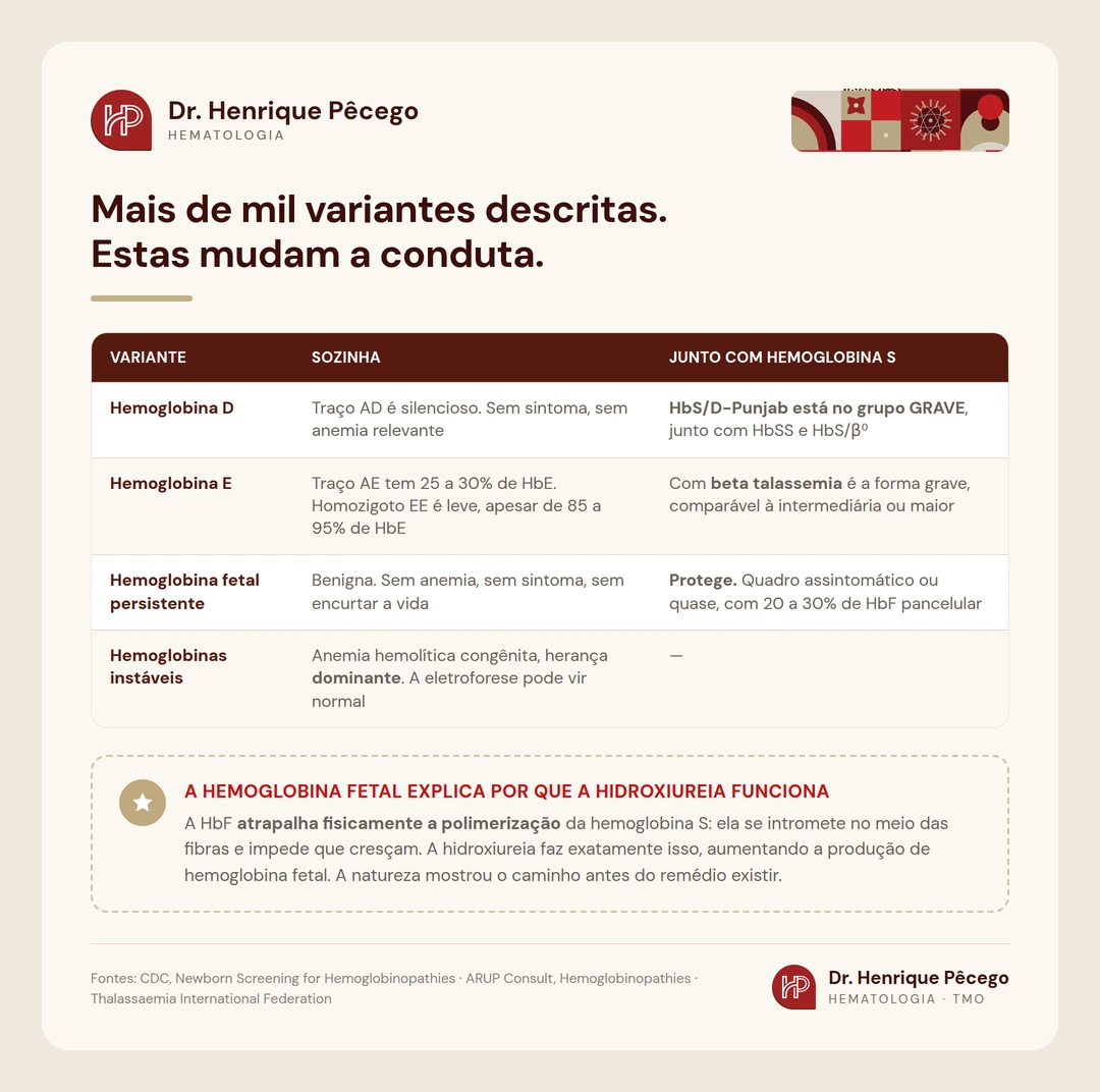 Tabela com as variantes raras: hemoglobina D, hemoglobina E, hemoglobina fetal persistente e hemoglobinas instáveis, e o que cada uma faz sozinha e junto com a hemoglobina S