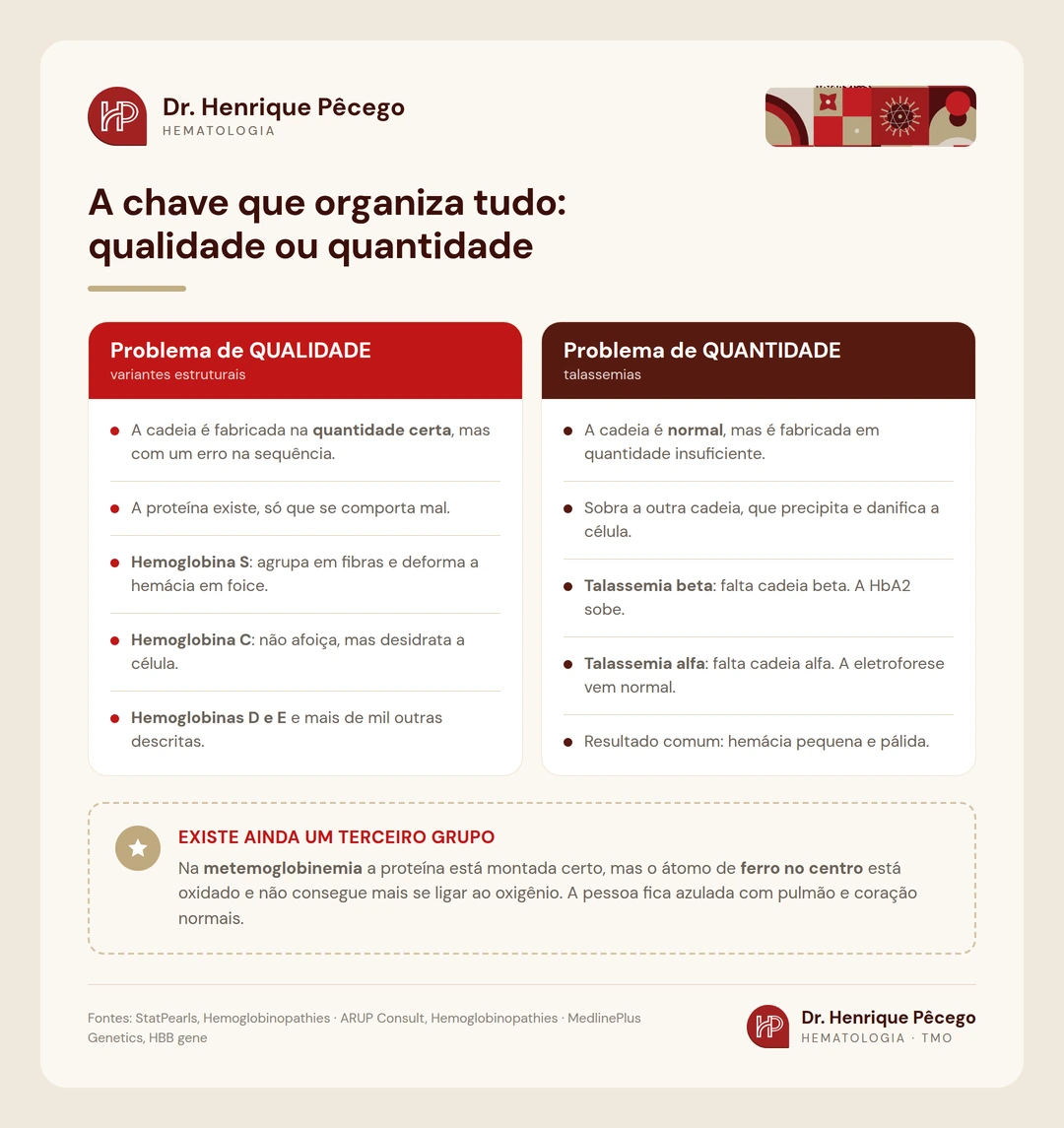 Comparação entre hemoglobinopatias de problema de qualidade, as variantes estruturais como S e C, e de problema de quantidade, as talassemias