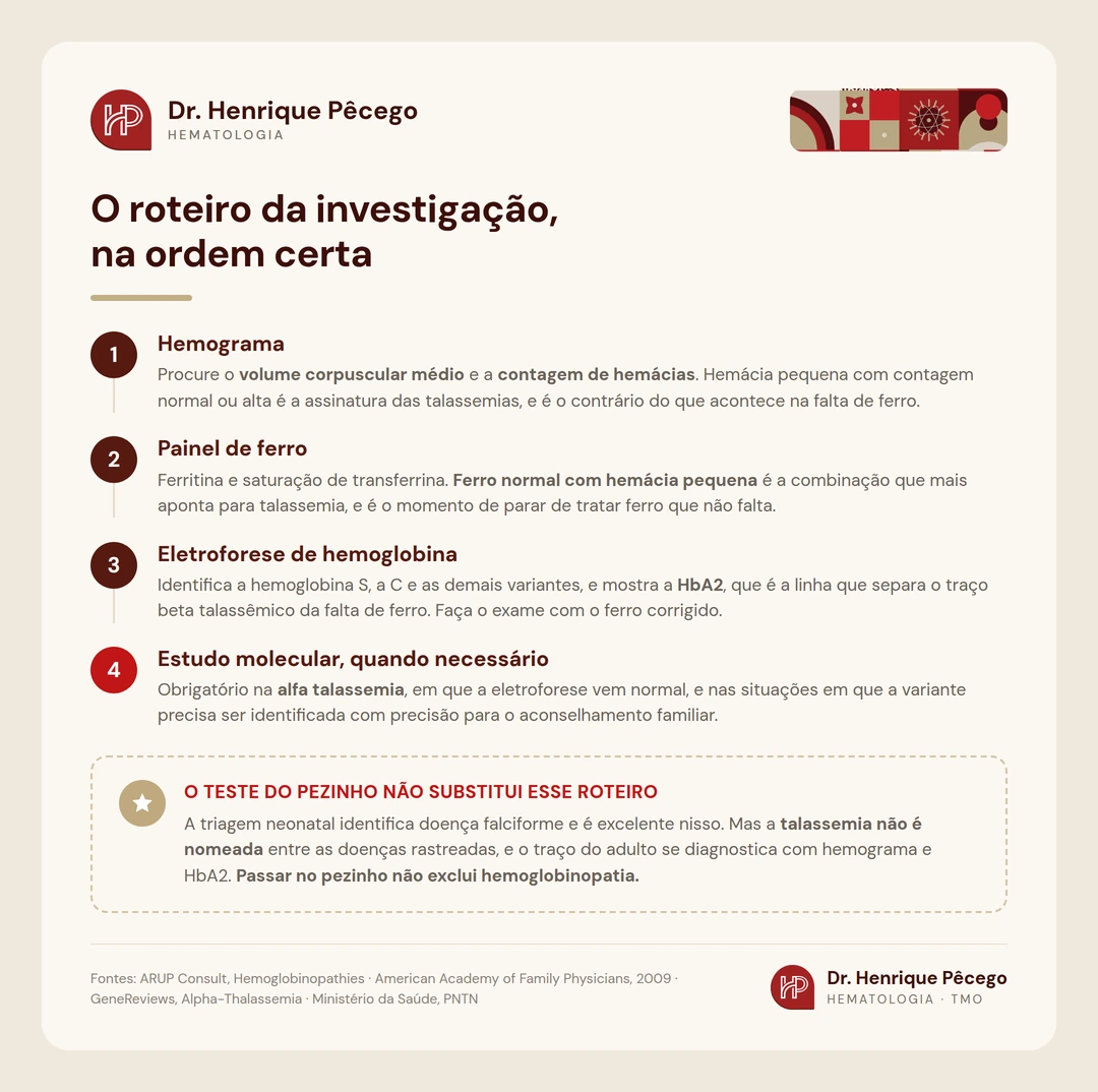 Roteiro de investigação em quatro passos: hemograma, painel de ferro, eletroforese de hemoglobina e estudo molecular quando necessário